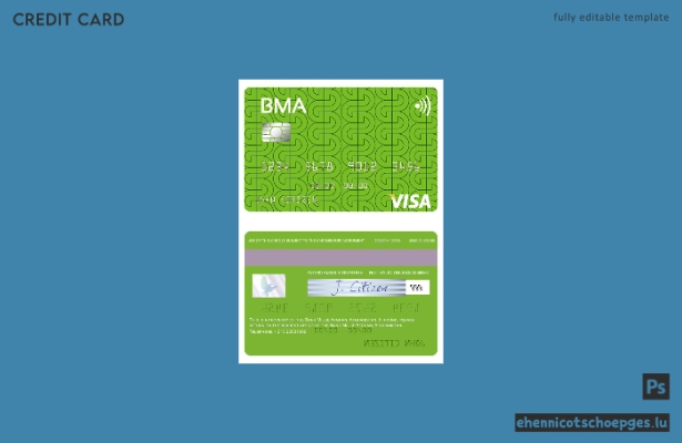 Beispielvorschau der Millie Afghan Visa-Karte der Afghanistan Bank